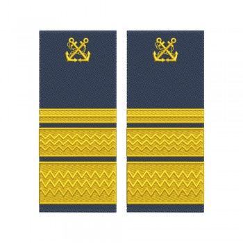 Grade ANR Director Directie | Director Capitanie zonala