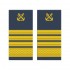 Grade Capitan sef de port ANR