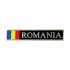Ecuson "ROMANIA" cu fir metalizat argintiu