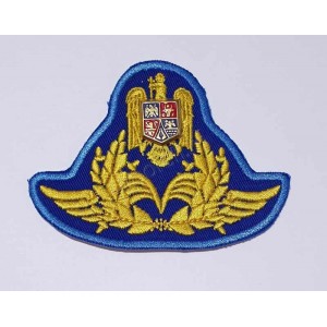 Emblema coifura oras forte aeriene