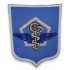 Emblema Institutul National de Medicina Aeronautica si Spatiala