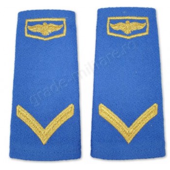 Grade militare de oras soldati profesionisti- Aviatie