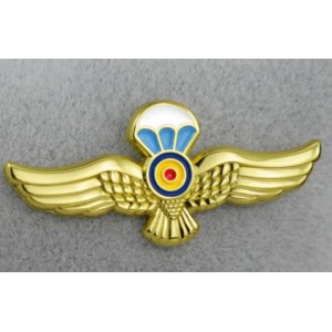 Insigna Parașutiști