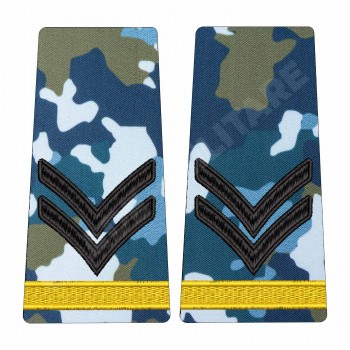 Grade Elev Caporal - Forte Aeriene combat (Scolarizare 1 si 2 ani)