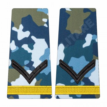 Grade Elev Fruntaș - Forțele Aeriene Combat (Școlarizare 1 și 2 Ani) 