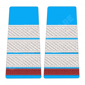 Grade Student Plutonier Adjutant - Forte Aeriene Oras