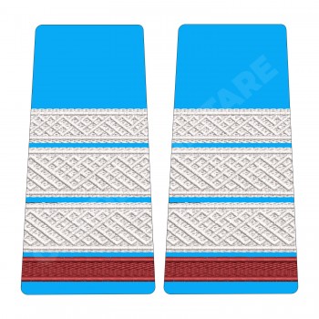 Grade Student Plutonier Major - Forte Aeriene oras