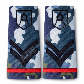 Grade studenti combat Fortele Aeriene