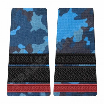 Grade Student Sergent Major - Forte Navale combat