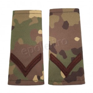 Grade Fruntas combat forte terestre