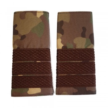 Grade Plutonier Adjutant combat forte terestre