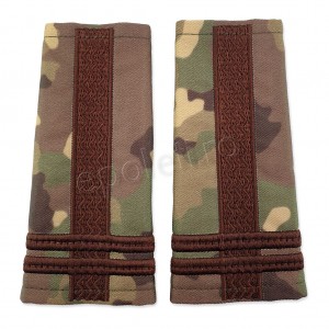 Grade Locotenent-colonel combat forte terestre