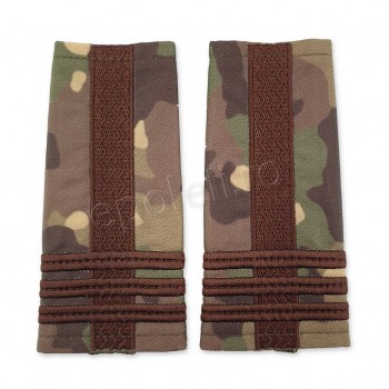 Grade Colonel combat forte terestre