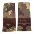 Grade Maistru Militar clasa III combat forte terestre