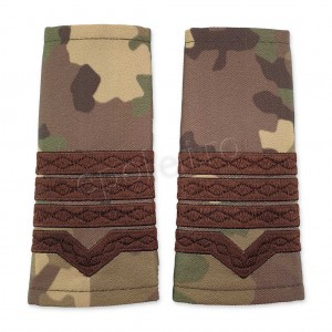 Grade Maistru Militar clasa II combat forte terestre