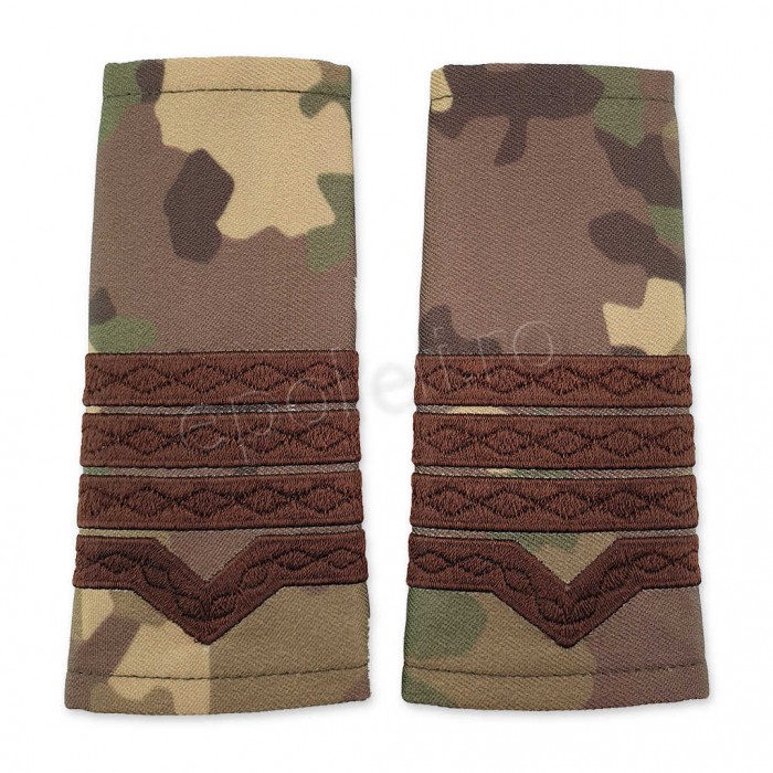 Grade Maistru Militar clasa II combat forte terestre