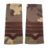 Grade Maistru Militar clasa II combat forte terestre