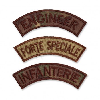 Emblema arcada specialitati arme forte terestre