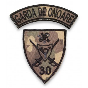 Emblema Brigada 30 Garda 