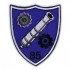 Emblema Batalionul 85 Sprijin Logistic 