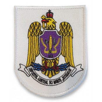 Emblema Depozitul Central 163 Munitii