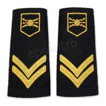 Grade militare de oras soldati profesionisti- MAPN