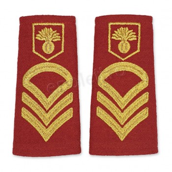 Grade militare de oras soldati profesionisti- MAPN