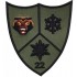Emblema Batalionul 22 Vanatori de Munte CIRESOAIA