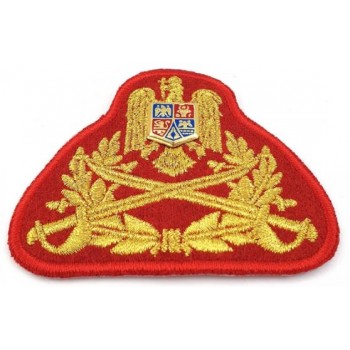 Emblema coifura oras fortele terestre - caciula, sapca, palarie