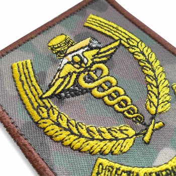 Emblema Directia Generala Financiar Contabila