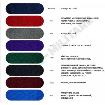 Grade militare de oras Maistri Militari - MAPN