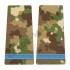 Grade Elev Anul I - Forte Terestre combat (Colegii Militare)