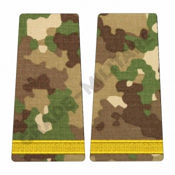 Grade Elev Negradat - Forte Terestre combat (Scolarizare 1 si 2 ani)