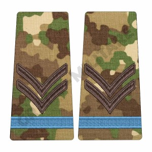 Grade Elev Caporal  - Forte Terestre combat (Colegii Militare)