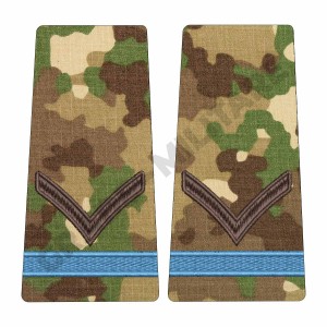 Grade Elev Fruntas - Forte Terestre combat (Colegii Militare)