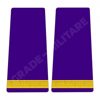 Grade Elev Negradat - Forte Terestre oras (Scolarizare 1 si 2 ani)