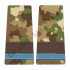 Grade Elev Sergent - Forte Terestre combat (Colegii Militare)