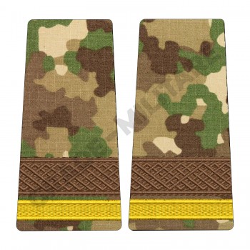 Grade Elev Sergent - Forte Terestre combat (Scolarizare 1 si 2 ani)