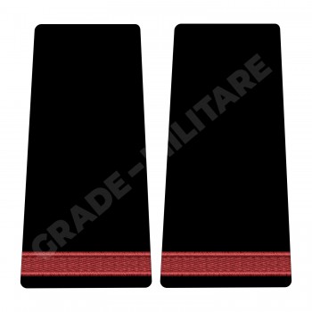 Grade Student Negradat - Forte Terestre oras