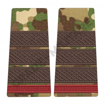 Grade Student Plutonier Adjutant - Forte Terestre combat