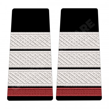 Grade Student Plutonier Adjutant - Forte Terestre oras