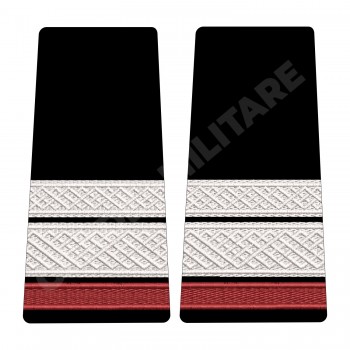 Grade Student Sergent Major - Forte Terestre oras