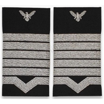 Grade Maistru Militar Principal IGAV