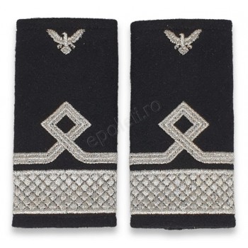 Grade Locotenent Comandor IGAV