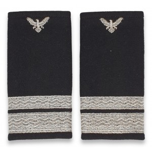 Grade Sergent Major IGAV 