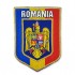 Emblema Stema Romaniei incadrata in tricolor