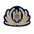 Emblema coifura General Jandarmeria