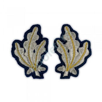 Petlite Ofiteri Jandarmeria