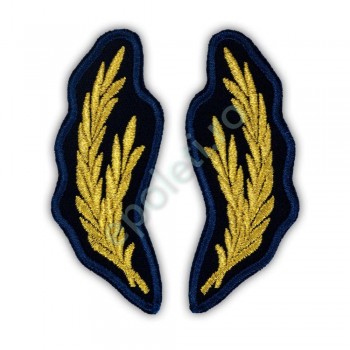 Petlite subofiteri Penitenciar (ANP)