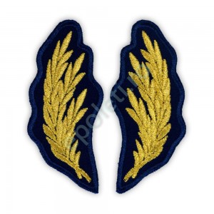 Petlite ofiteri Penitenciar (ANP)